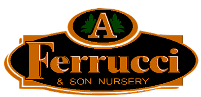 A. Ferrucci & Son Nursery